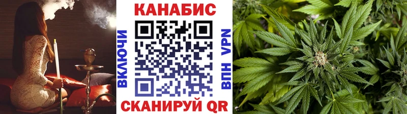 МАРИХУАНА гибрид Тайга